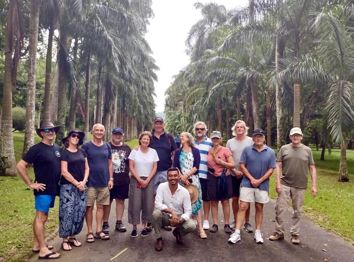 Ceylon Now driver-guide with a group of travellers on the royal palm avenue at Peradeniya Botanical Gardens, Kandy